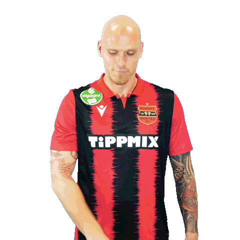 Boti Swipe Up Sticker by Budapest Honvéd FC