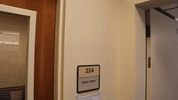 finals studying GIF by Western Oregon University