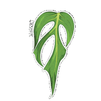 Monstera Urban Jungle Sticker by Hankō
