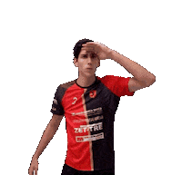 Volleyball Homerun Sticker by Volley Treviso