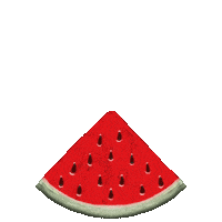 Summer Watermelon Sticker