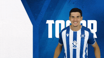 2 Bundesliga Football GIF by Karlsruher SC