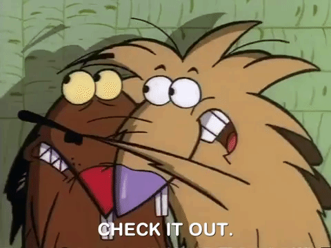 nickrewind giphydvr nicksplat angry beavers giphyab010 GIF