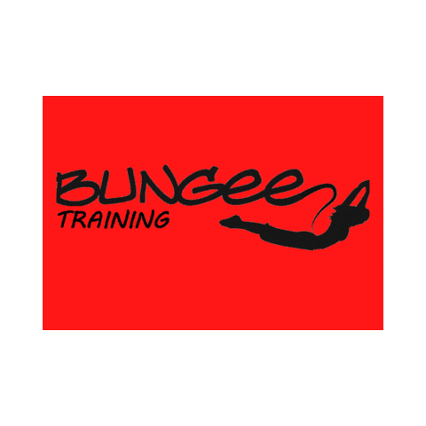 bungeetrainingargentina giphyupload bungee Sticker