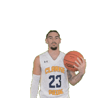 Mens Basketball Sticker by Clarke University