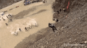like a boss win GIF by Red Bull