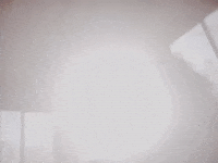 Sunlight GIF by Your Grandparents
