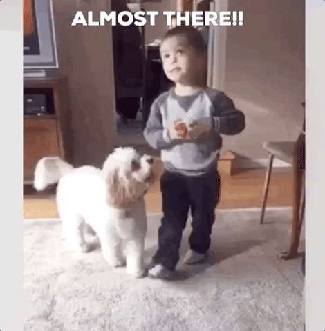 chrisanthy giphygifmaker puppy toddler almost there GIF