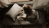 youtube winter GIF by SoulPancake