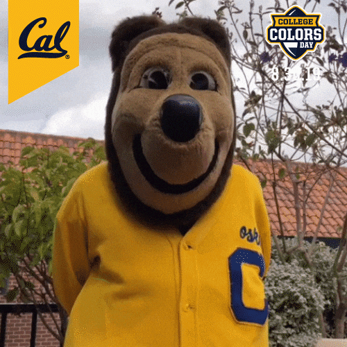 College Sports Cal GIF by College Colors Day