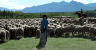 jake gyllenhaal lol GIF by Maudit