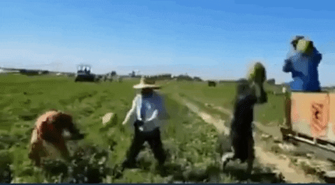 Work Smarter Not Harder Farm Workers GIF by Norwalk Brew House