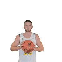 Mens Basketball Sticker by Clarke University