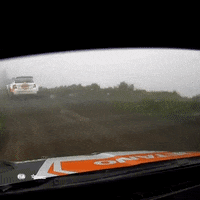 Rallying Good Bye GIF by FIA European Rally Championship