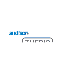 Car Audio Logo Sticker by Elettromedia SRL