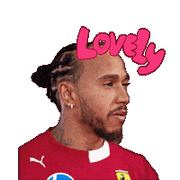 햄콘 Sticker