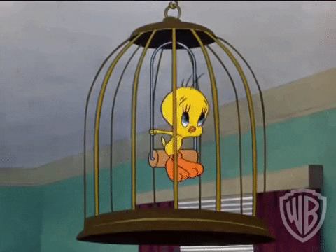 I tawt I taw a puddy tat!