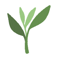 Plant Grow Sticker