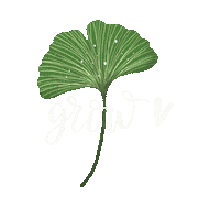 Leaf Grow Sticker
