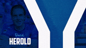 Soccer Goal GIF by Karlsruher SC