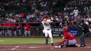 Grand Slam Sport GIF by MLB