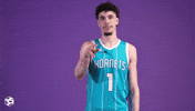 Basketball Nba GIF by Charlotte Hornets