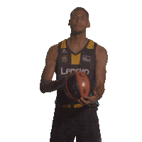 Liga Endesa Ball Sticker by ACB