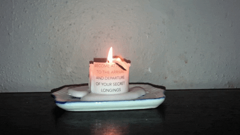 catiehannigan giphyupload GIF