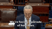 Government Shutdown GIF by GIPHY News