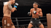 Not Backing Down Say It To My Face GIF by Dirty Boxing Championship
