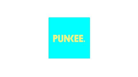 james anthony punkee.com.au Sticker