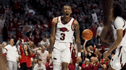 Yell Lets Go GIF by Arkansas Razorbacks
