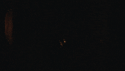 music video dance GIF by tomcjbrown