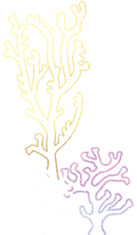 Sticker by Spectrum Collections