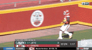 National Football League GIF by NFL