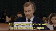 news impeachment impeachment inquiry opening statement david holmes GIF