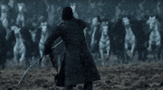 Game Of Thrones GIF by giphydiscovery