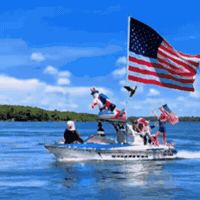 United States Usa GIF by Respective