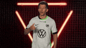 Vfl Wolfsburg GIF by Bundesliga