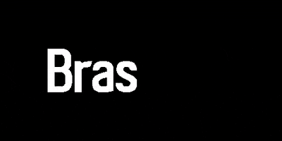 brastelha roof telhas metalic telha GIF