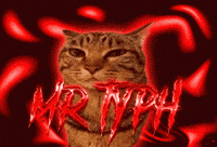 Typh GIF