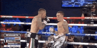 toprank fight boxing fighting fighters GIF