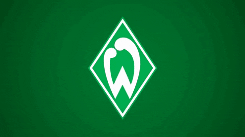 bundesliga celebrate GIF by SV Werder Bremen