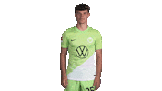 Football Sticker Sticker by VfL Wolfsburg