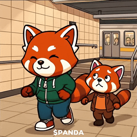Red Panda Running GIF by PandaMania