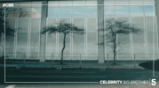 celebrity big brother GIF by Big Brother UK