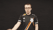 Global Offensive Facepalm GIF by G2 Esports