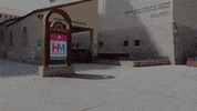 Miami Beach GIF by HistoryMiami Museum