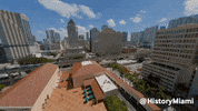 Downtown Miami GIF by HistoryMiami Museum