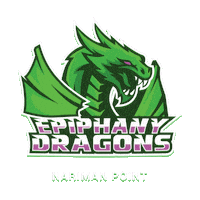 Dragons Cricket Sticker by Sportobuddy